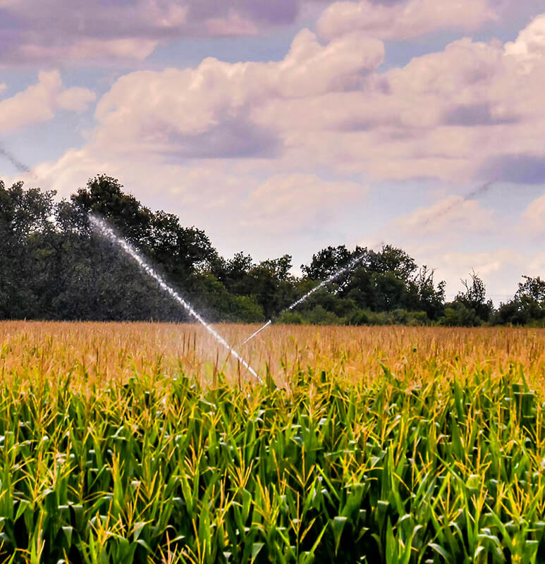 Daau Pipes And Water Tanks